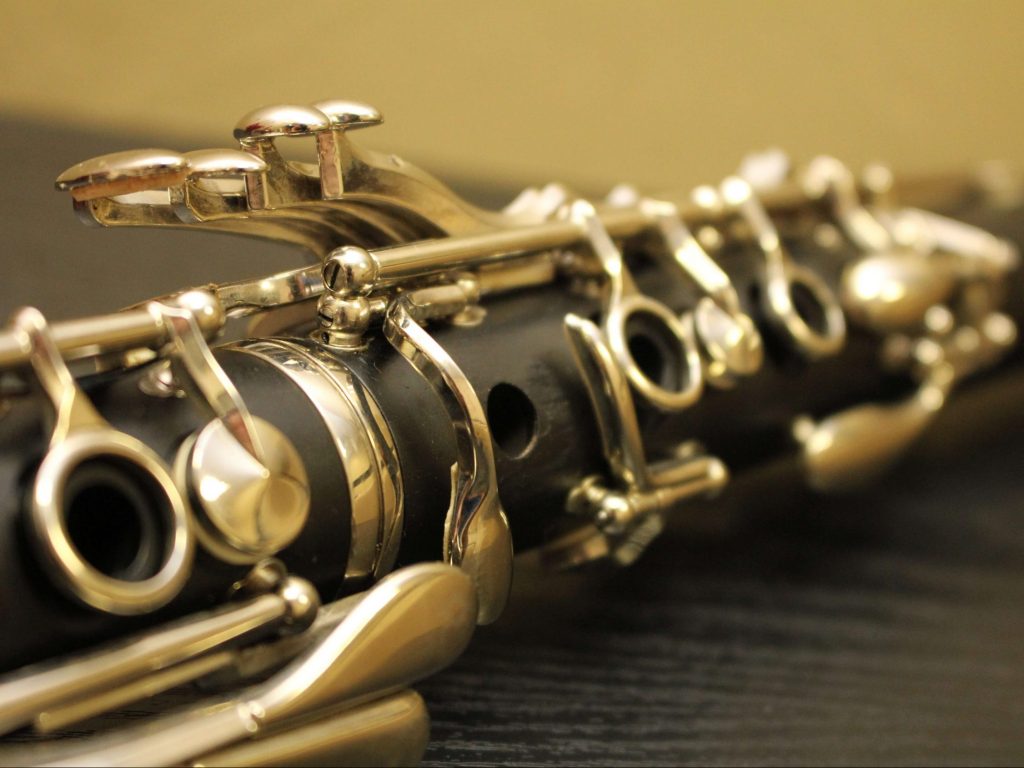 The 10 Best Clarinets Reviews: The Ultimate Buying Guide 2022 ...