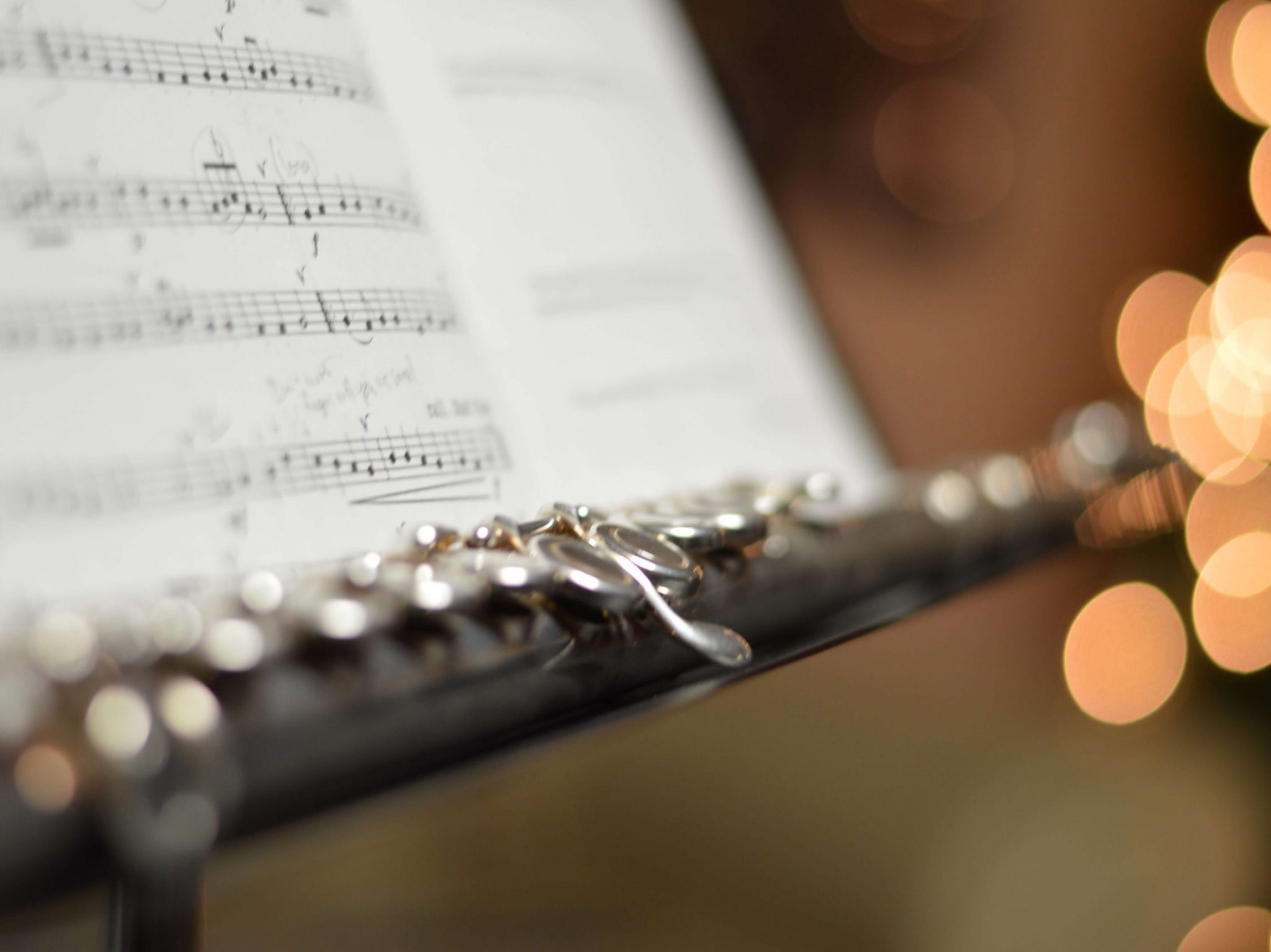 The 7 Best Professional Flute Reviews 2024 Instruments.guru