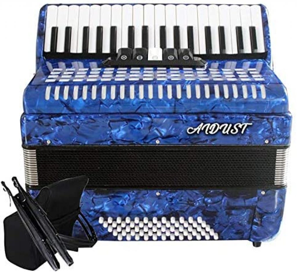 Top Accordions Under $1000 For Beginners - Instruments.guru