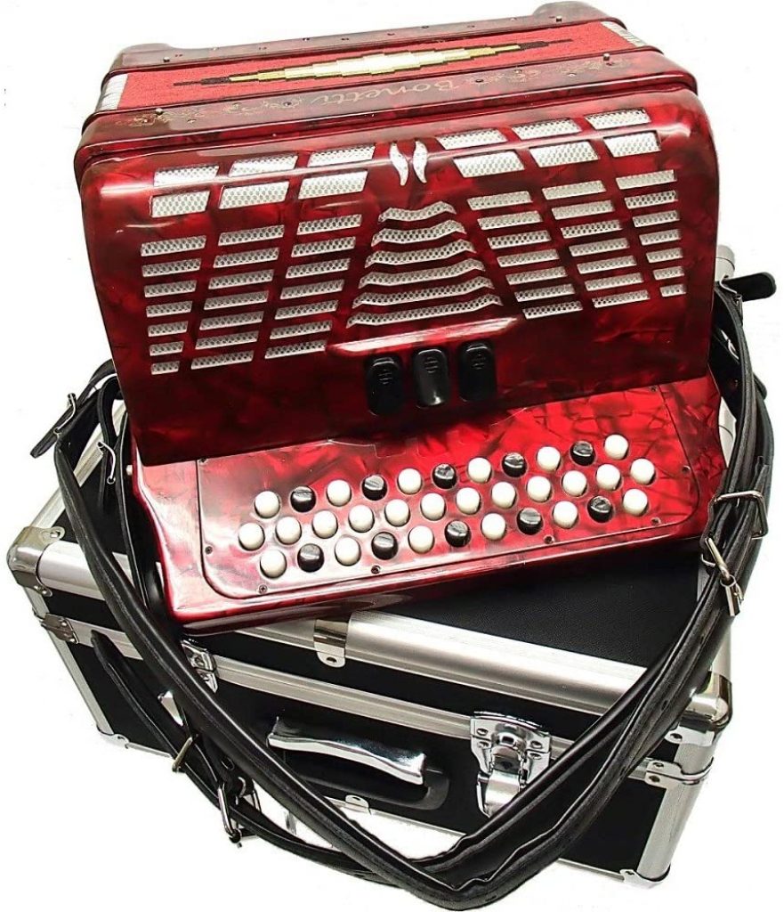 Top Accordions Under $1000 For Beginners - Instruments.guru