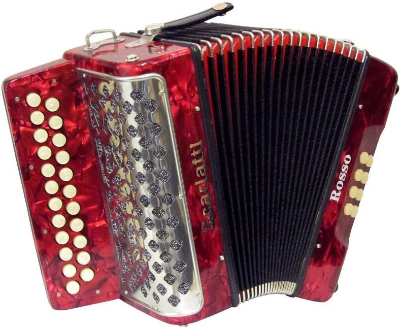 Top Accordions under 1000 for Beginners Instruments.guru