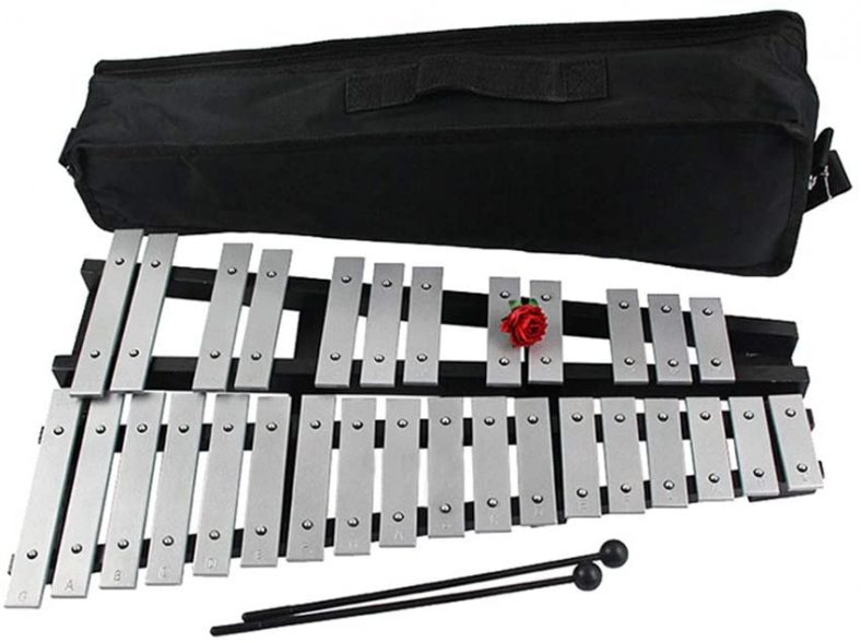 The Best Glockenspiels for Newbies in 2020 Instruments.guru