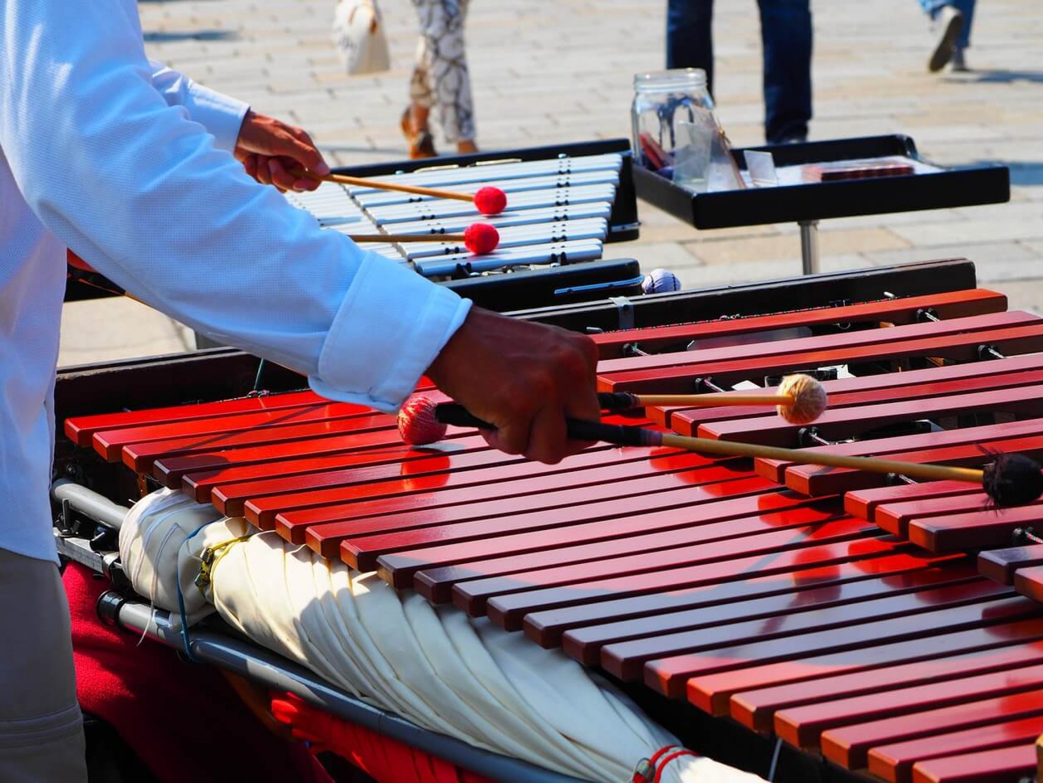 The Best Glockenspiels for Newbies in 2020 Instruments.guru