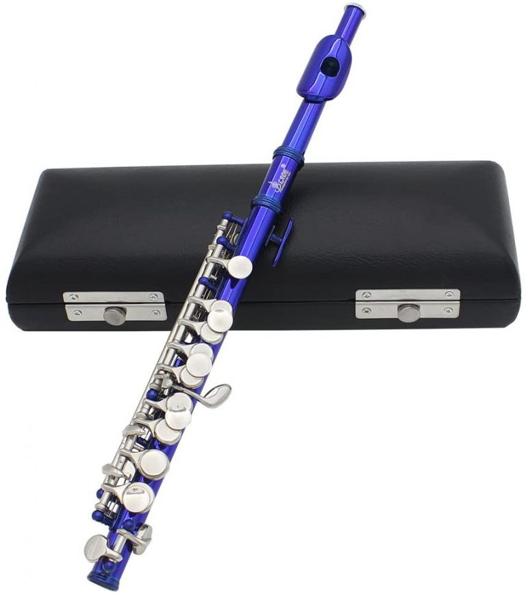 Top Piccolos for Students in 2020 Instruments.guru