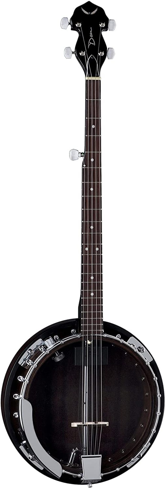 Top 10 Best Banjos under 600 in 2021 Instruments.guru