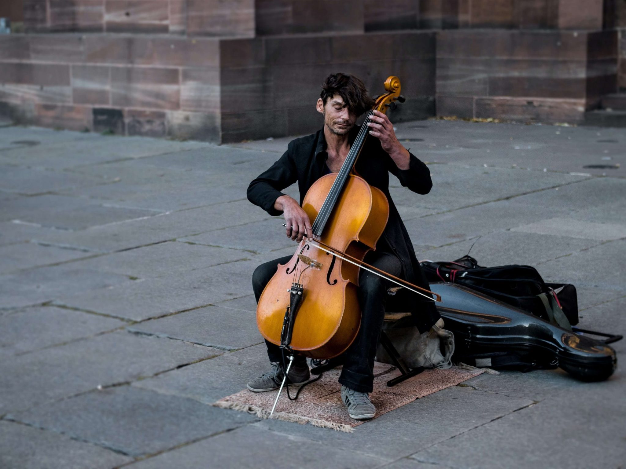 The Best Cellos Under 500 for Beginners Instruments.guru