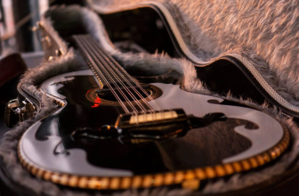 Top 10 Guitar Cases at the Best Price in 2021