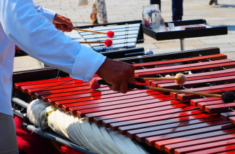 The Best Glockenspiels for Newbies in 2020