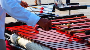 The Best Glockenspiels for Newbies in 2020
